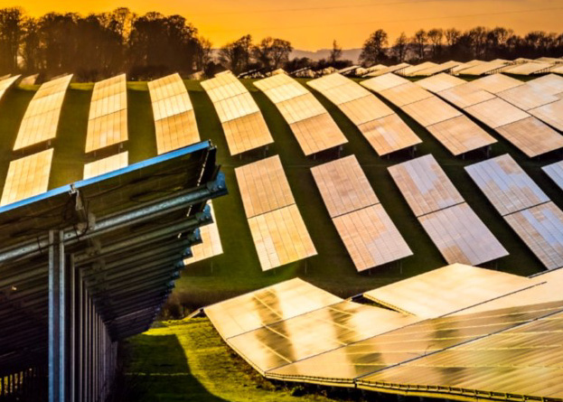 A close up image of a solar farm at sunset